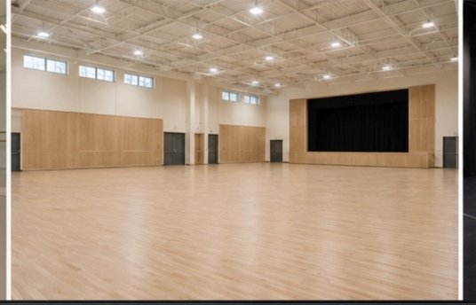 Multipurpose school hall with a timber-finish sprung floor